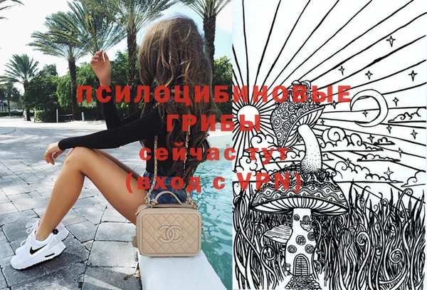 гашик Абинск